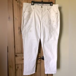 CODE BLUE Women’s Jeans 20W